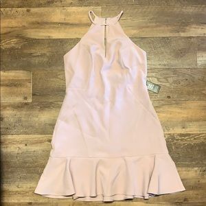 NWT Express High Neck Blush Dress